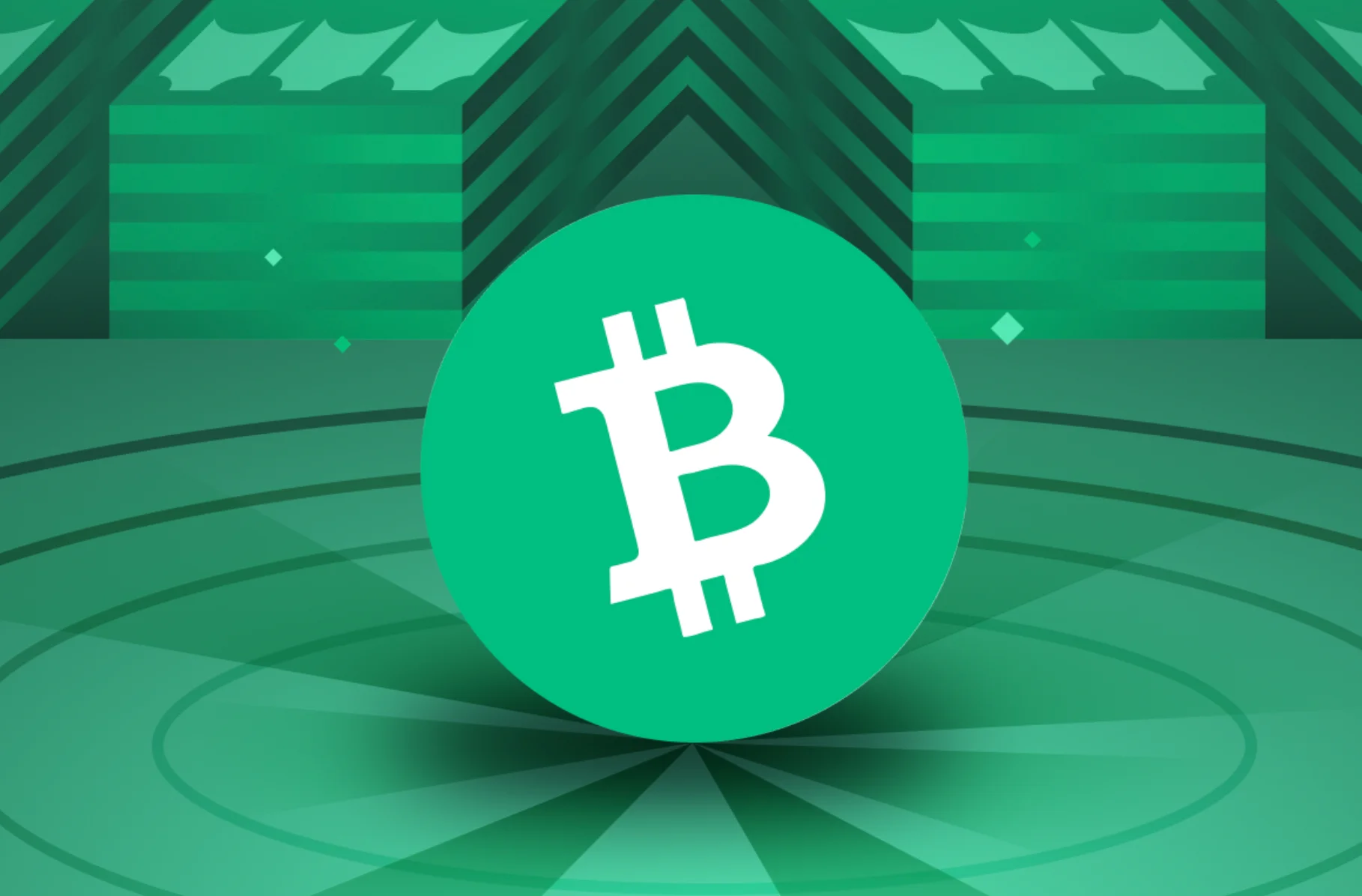 Bitcoin Cash Bitcoin Cash